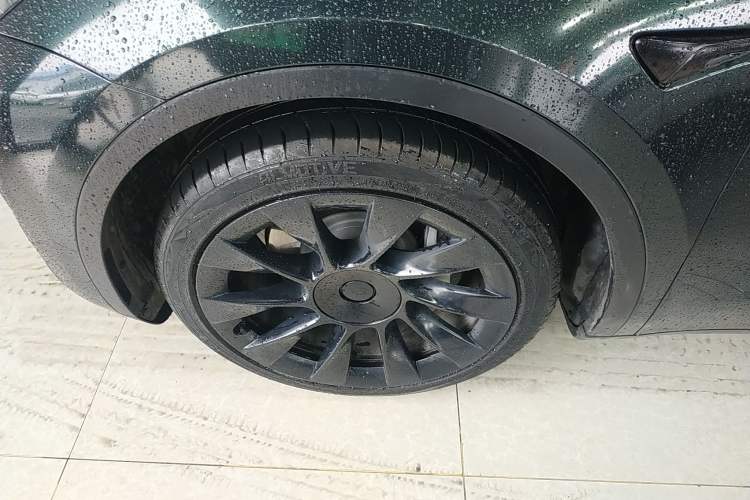 Used Tesla Model Y 2021 Standard Range Rear-Wheel Drive Version
