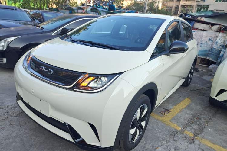 Used BYD Dolphin 2025 420km Free Edition