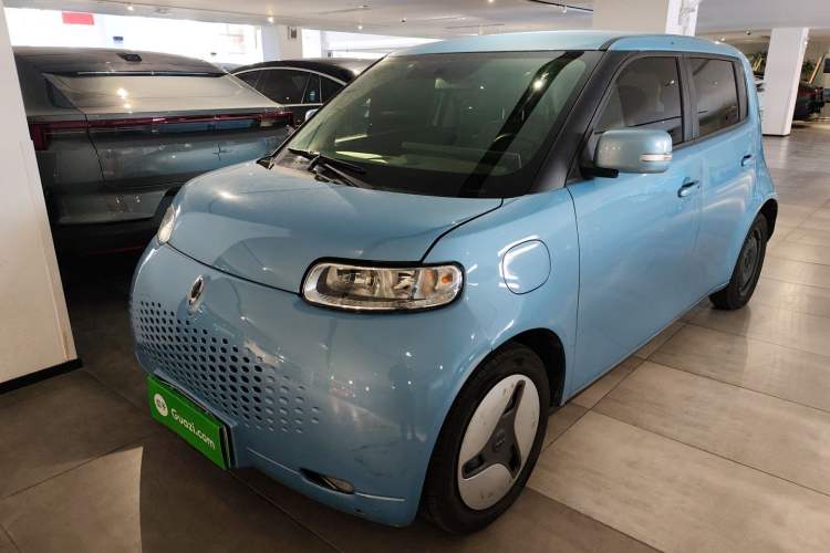 Used ORA White Cat 2020 360 km Luxury Version