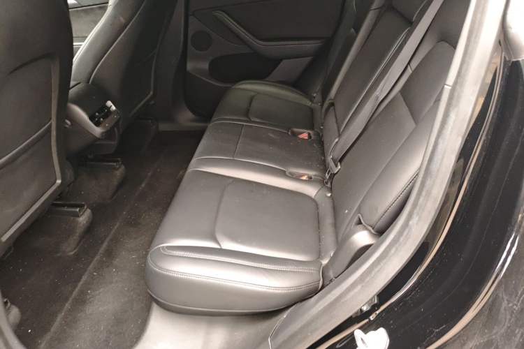 Used Tesla Model Y 2021 Standard Range Rear-Wheel Drive Version
