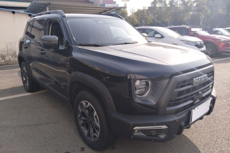 Used Haval DARGO 2024 2.0T DCT Chinese Rural Dog Edition
