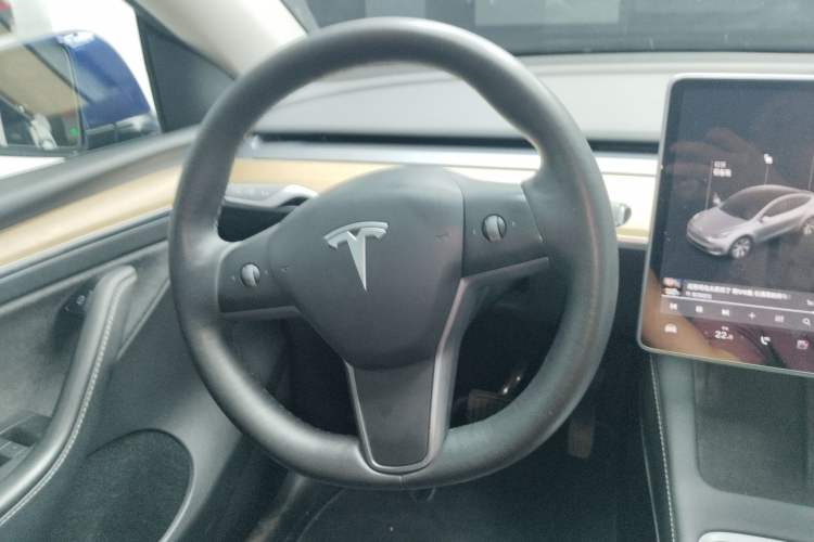 Used Tesla Model Y 2021 Standard Range Rear-Wheel Drive Version
