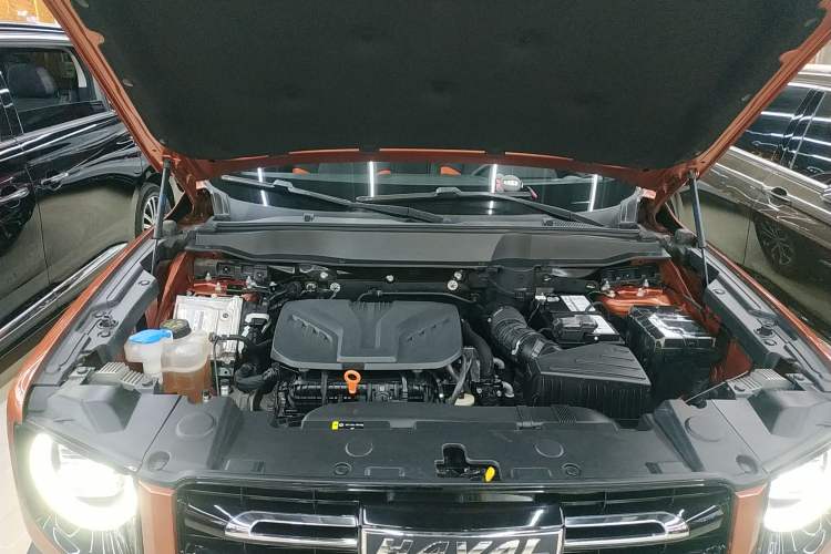 Used Haval DARGO 2021 2.0T DCT Two-Wheel Drive Chinese Mastiff Edition
