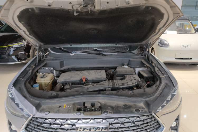 Used Haval F7 2020 1.5T Two-Wheel Drive i-Trend
