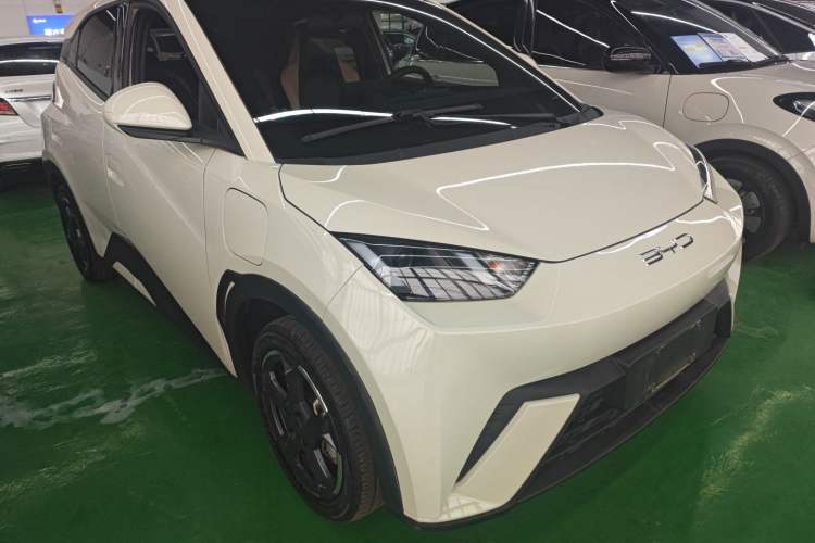 Used BYD Seagull 2024 Honor Edition 305km Freedom Version