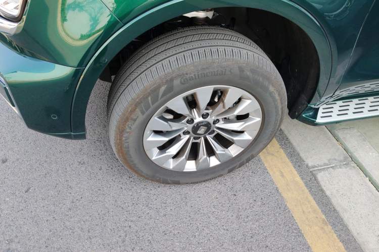 Used Tank 500 New Energy 
