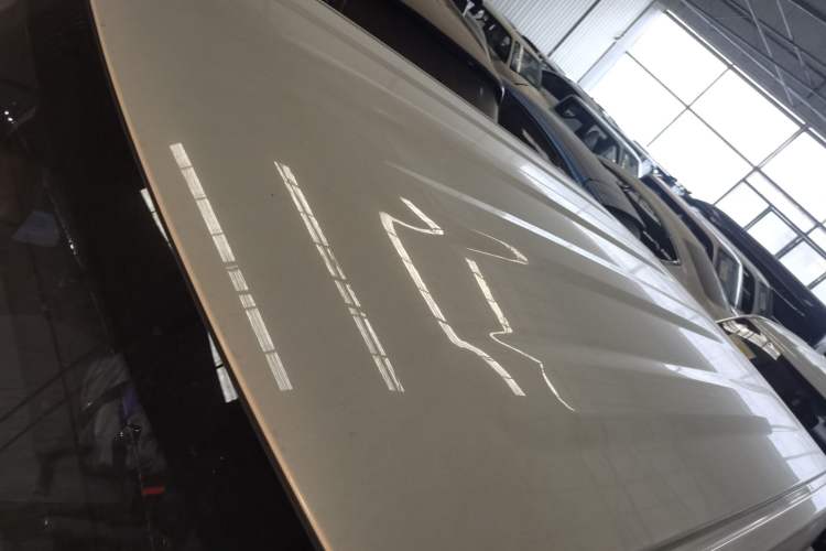 Used  Panda 2024 Panda Mini 200km Endurance Bear
