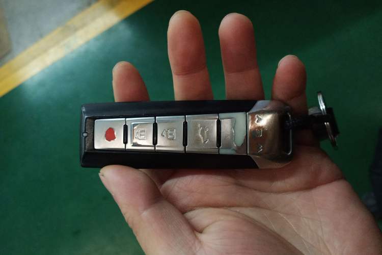 Used Wey VV5 2019 1.5T Two-Wheel Drive Color Pioneer
