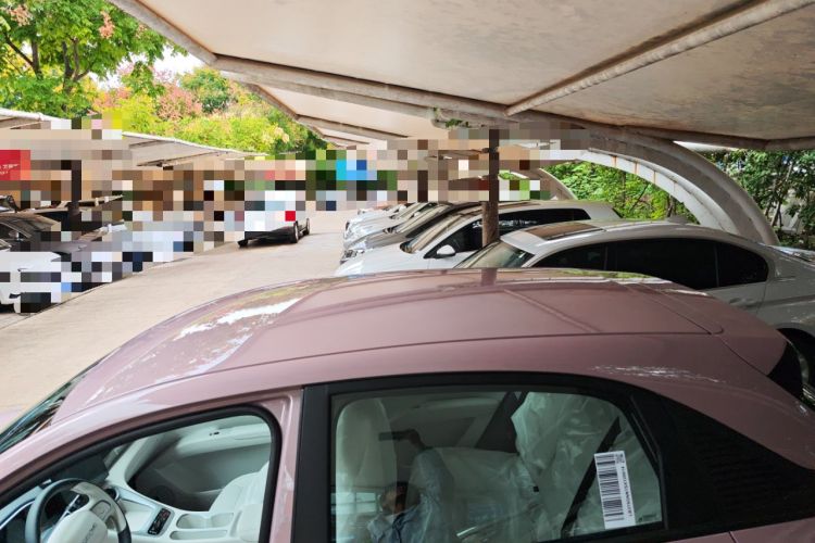 Used  Geome 2025 310km Youth Edition
