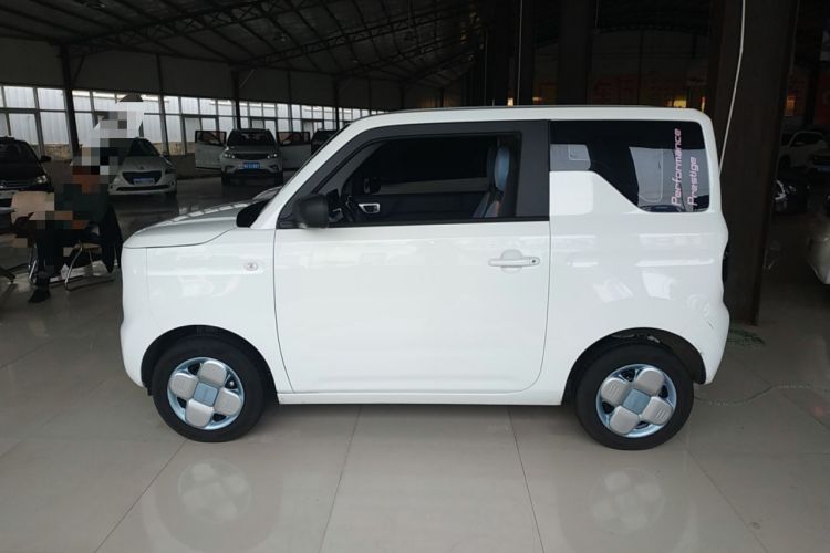 Used  Panda 2024 Panda Mini 200km Endurance Bear
