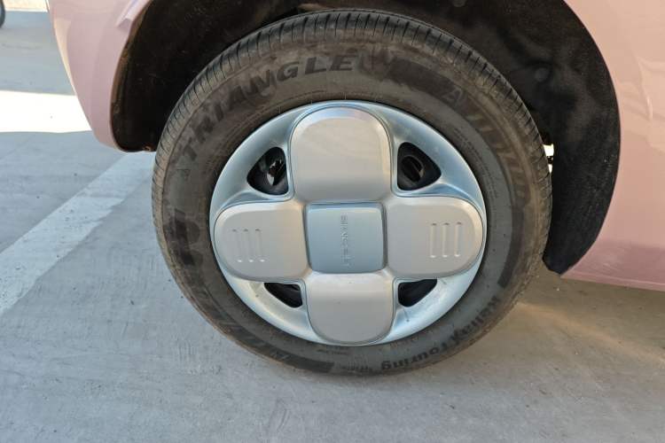 Used  Panda 2024 Panda Mini 200km Endurance Bear
