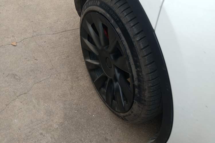 Used Tesla Model Y 2021 Long-Range All-Wheel-Drive Version