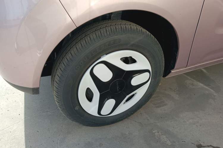 Used  Panda 2025 210 km – Yuanqi Bear