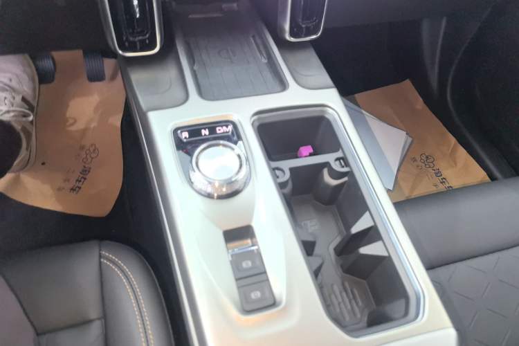 Used Haval DARGO 2024 2.0T DCT Chinese Rural Dog Edition
