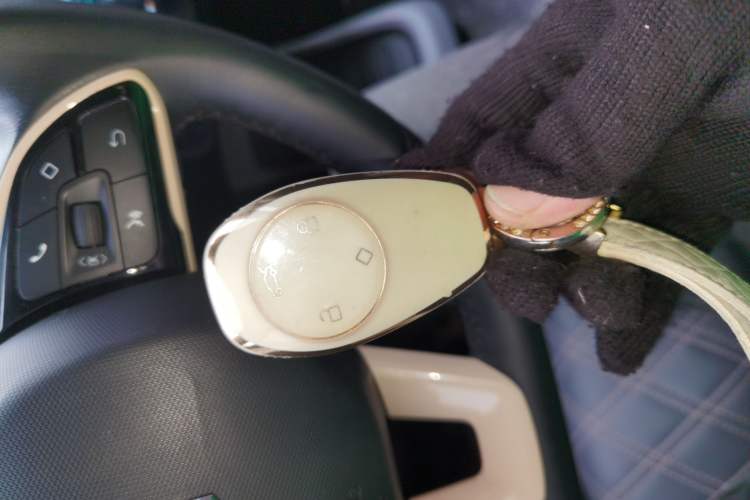 Used Leapmotor T03 2021 400 Luxury Edition
