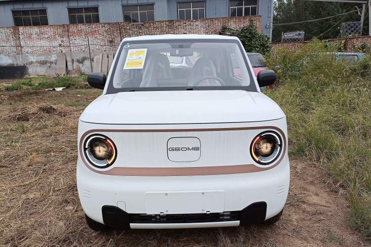 Used  Panda 2024 Panda Mini 200km Endurance Bear
