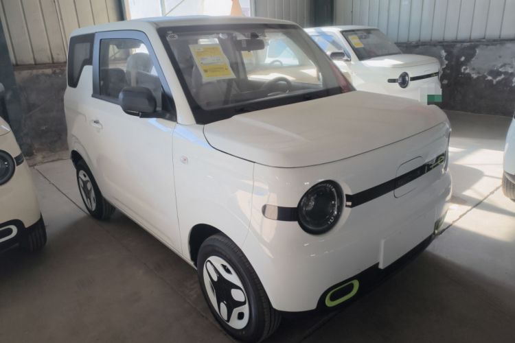 Used  Panda 2025 210 km – Yuanqi Bear