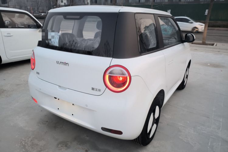 Used  Lumin 2024 130km Qingyue Version