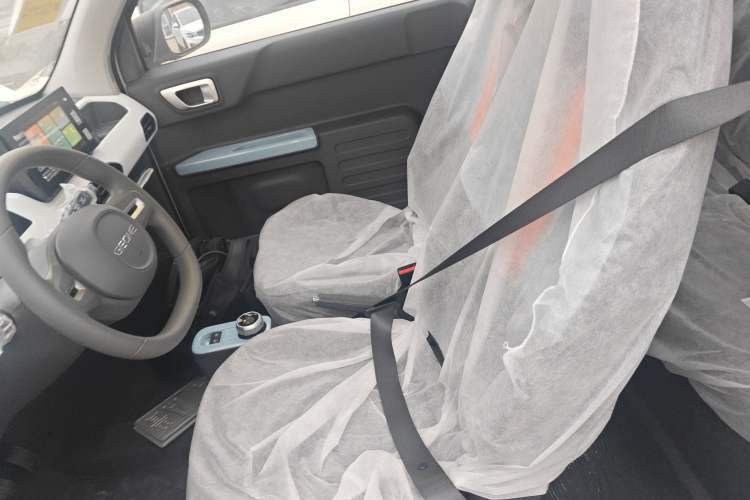 Used  Panda 2024 Panda Mini 200km Endurance Bear
