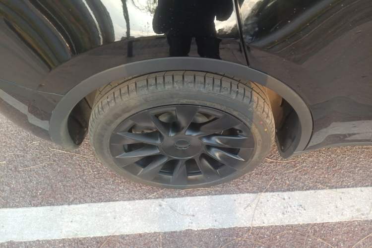 Used Tesla Model Y 2021 Standard Range Rear-Wheel Drive Version