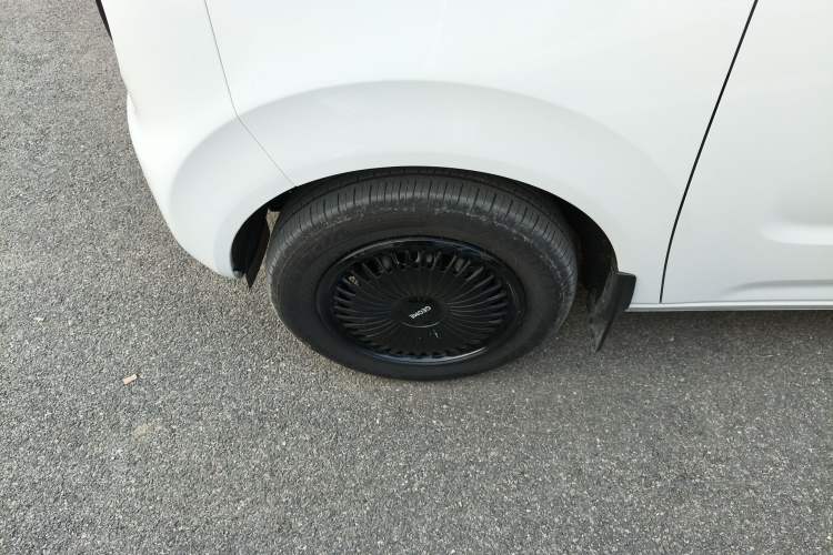 Used  Panda 2024 Panda Mini 200km Endurance Bear