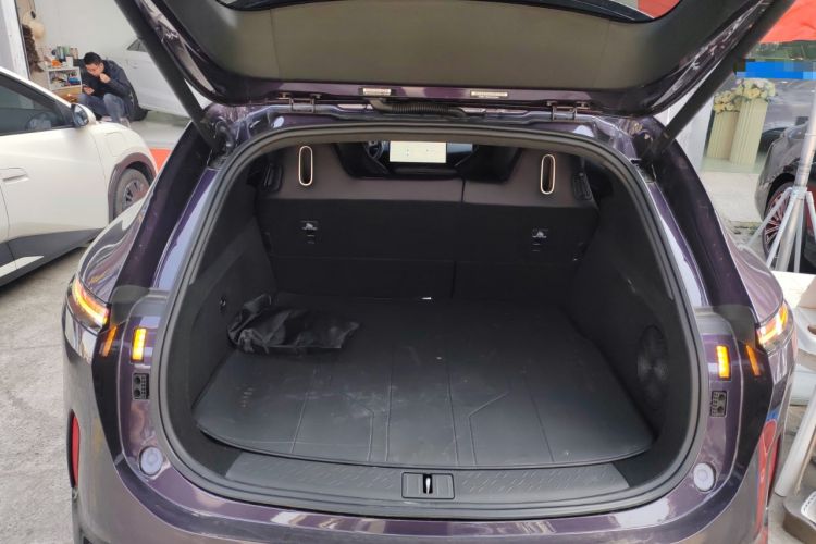 Used  07 2024 Max Extended-Range Edition
