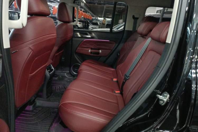 Used Tank 300 2024 2.0T Crosser
