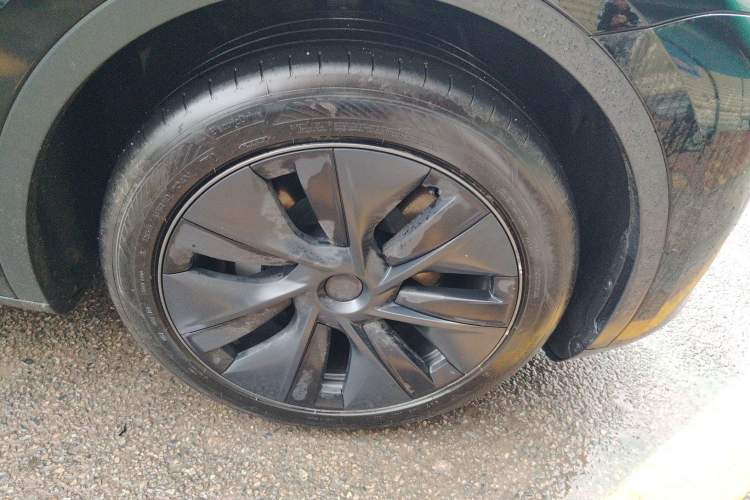 Used Tesla Model Y 2023 Rear-Wheel-Drive Version
