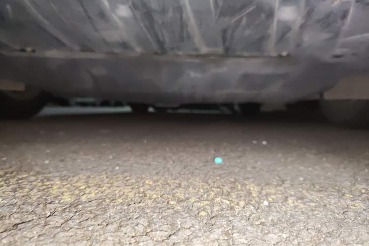 Used Ford Focus 2018 Hatchback Classic 1.6L Automatic Comfort Plus SmartDrive Edition
