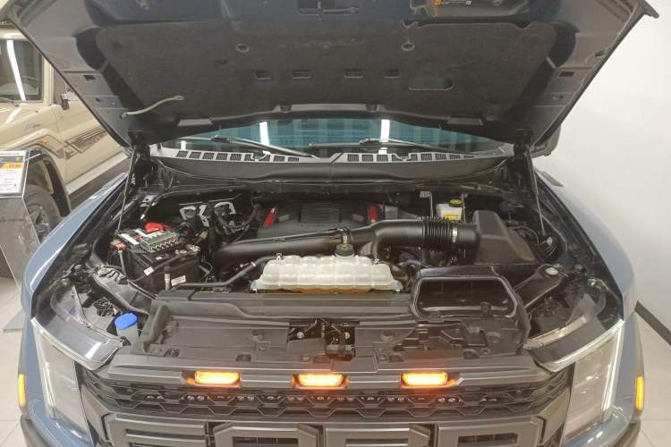 Used Ford F-150 Raptor 2023 3.5T Raptor
