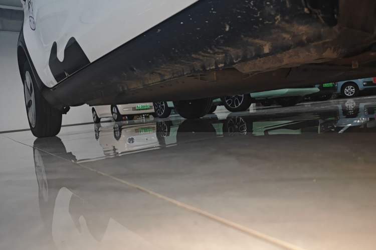 Used ORA Black Cat 2019 301km Standard Edition
