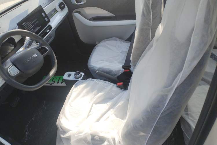 Used  Panda 2025 210 km – Yuanqi Bear
