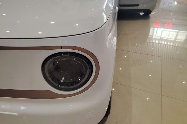 Used  Panda 2024 Panda Mini 200km Endurance Bear