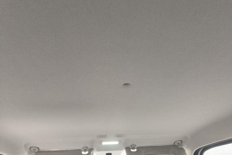 Used  Panda 2024 Panda Mini 200km Endurance Bear
