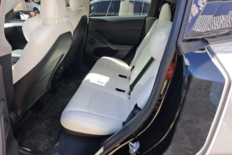 Used Tesla Model Y 2021 Standard Range Rear-Wheel Drive Version
