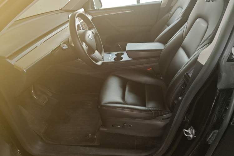 Used Tesla Model Y 2021 Standard Range Rear-Wheel Drive Version
