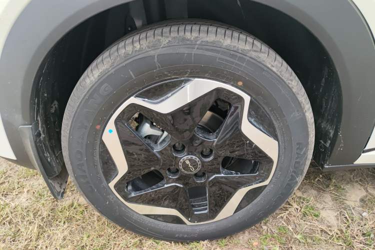 Used BYD Dolphin 2025 Smart Drive Version 420 km Freedom Edition
