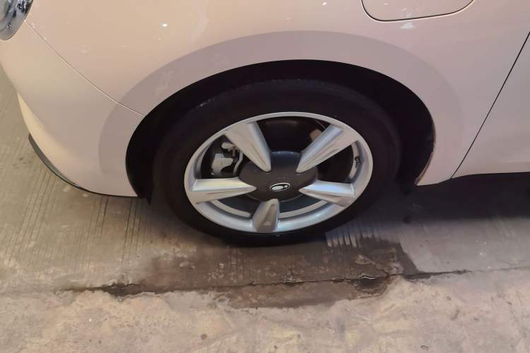 Used ORA Good Cat 2023 401 km Standard Range Premium Version Lithium Iron Phosphate
