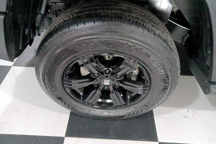 Used Tank 300 2024 2.0T Conqueror