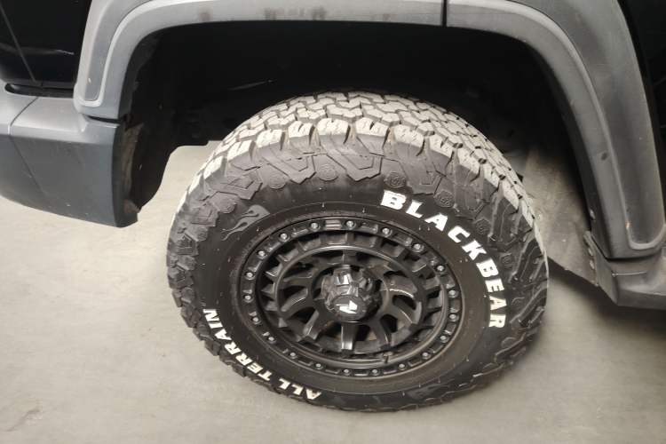 Used Tank 300 2021 Off-Road Edition 2.0T Conqueror