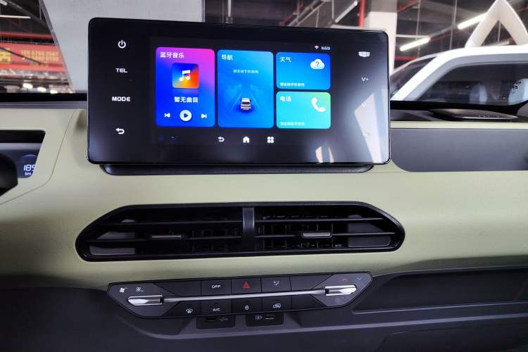 Used  Panda 2024 Panda Mini 200km Endurance Bear
