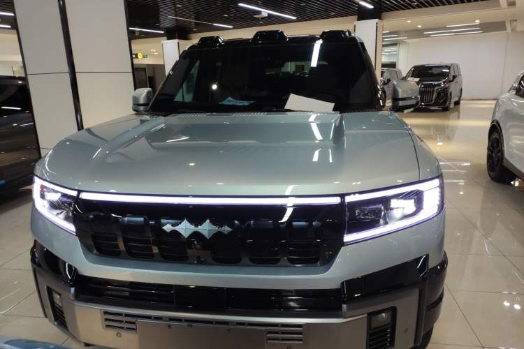 Used  Leopard 8 2025 Smart & Brave Flagship Edition 6 Seats
