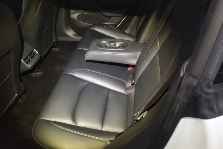 Used Tesla Model 3 2020 Revised Version Standard Range Rear-Wheel Drive – Upgraded Edition