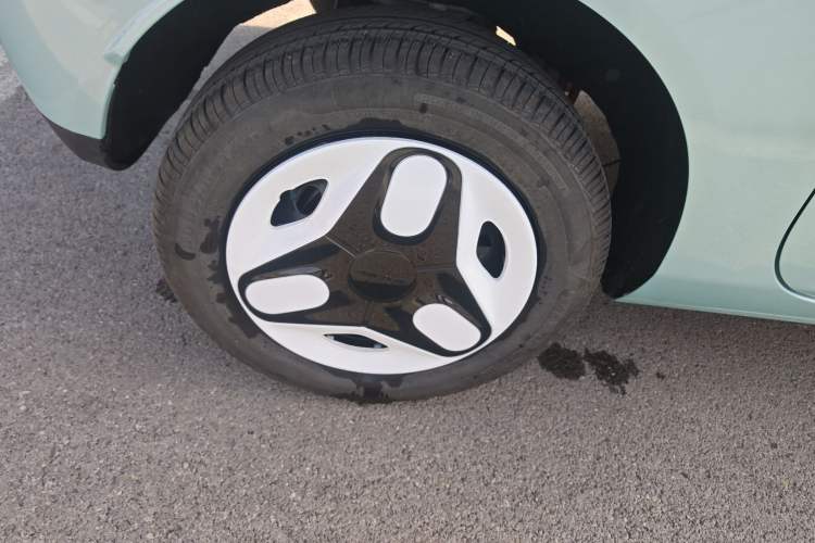 Used  Panda 2025 210 km – Yuanqi Bear
