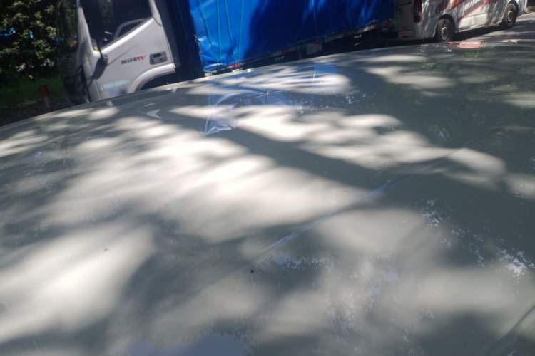 Used BYD Seagull 2025 305km Active Version
