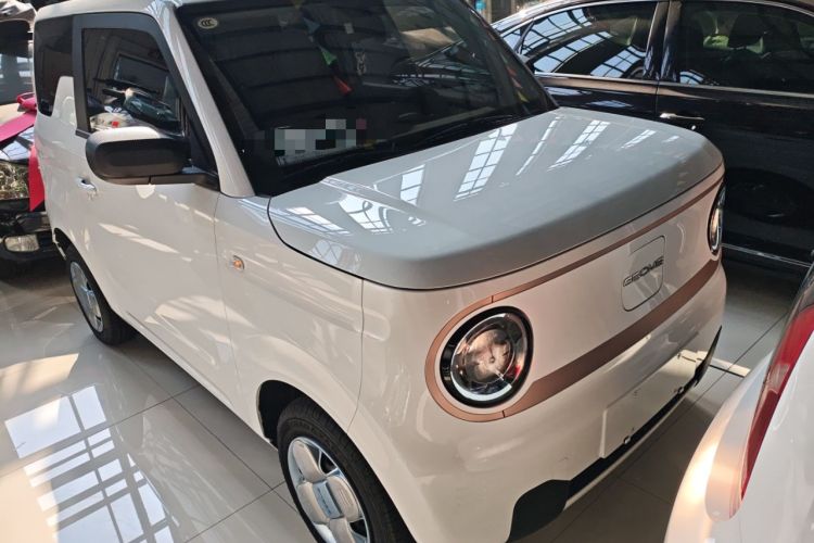 Used  Panda 2023 Panda Mini 200km Endurance Bear
