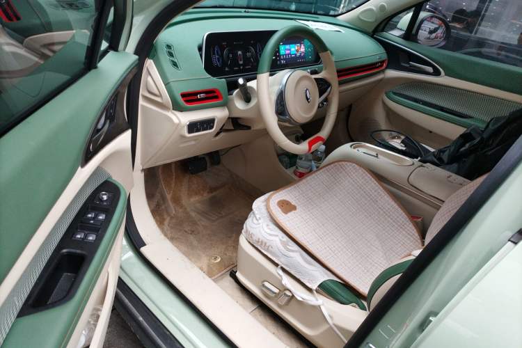 Used ORA Good Cat 2023 401 km Standard Range Luxury Version Lithium Iron Phosphate
