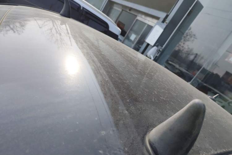 Used ORA Black Cat 2021 301 km Basic Version