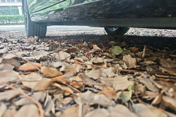 Used Toyota Avalon 2019 2.0L XLE Premium Edition China VI
