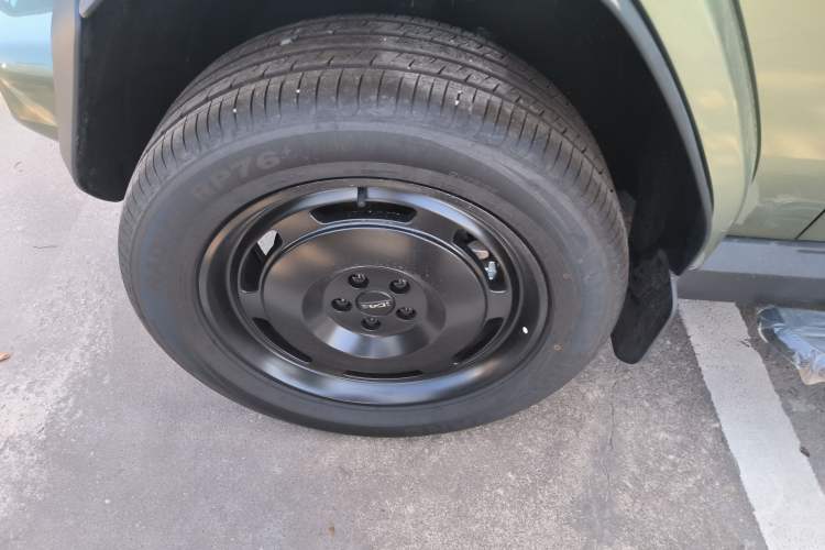 Used  V23 2025 401 Two-Wheel Drive Advanced Edition
